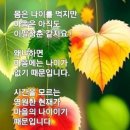 이팔청춘 - 하남시 | 이팔청춘