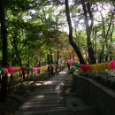 이돌영화사 이미지