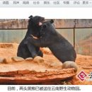 농민의집 이미지