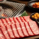 애환한우 이미지