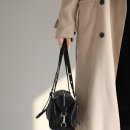 아델리아 이미지