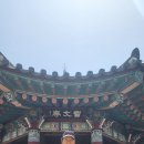 회덕2세천 이미지