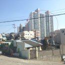사하구 사하로 이미지