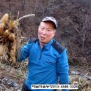 야콘부부농장 이미지