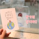 달띠 이미지