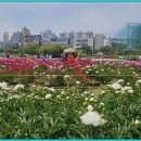 태화강국가정원 이미지