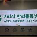 구리동물보호센터 이미지