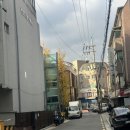 강남대로83길 55 이미지