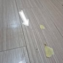 강마루찍힘 셀프 실패로 업체에서 티안나게 보수한 후기