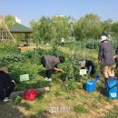 수자원농장 이미지