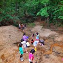 루소의 숲 어린이집 이미지