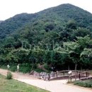 칠갑산자연휴양림 이미지