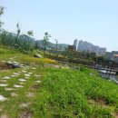 세천늪근린공원 네이버블로그