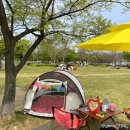 뚜레쥬르 뚝섬유원지점 | [뚝섬텐트대여] 뚝섬유원지텐트대여 써니텐트 플렉스파라솔 후기