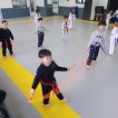 용인대 활기찬 태권도장 이미지
