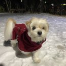 홈플러스 인하점 수족관 이미지