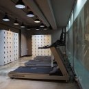 노경우 퍼스널 트레이닝 이미지