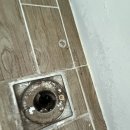 현대2차아파트 | 🔹 청주 현대2차 아파트 입주청소 후기｜이사 후 곰팡이와 기름때, 유리창 뽁뽁이 제거까지 꼼꼼히!