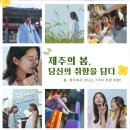 하얀여행사 제주 이미지