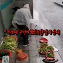 할머니야채 - 남동구 구월로276번길 55 | 할머니야채