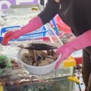 추억의지연상회 조개구이 대부도본점 네이버블로그