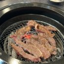 꽁술