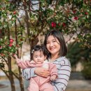 남해 복콩이마을 이미지