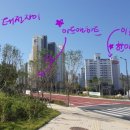 한아람초등학교 이미지