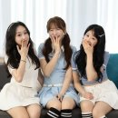 (주)미쓰랜드 이미지