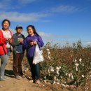 마을농장 이미지