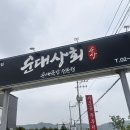 장항상회 이미지