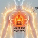 금양목욕탕 네이버블로그