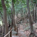 백향목숲휴양림 이미지