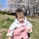 반월공원 이미지