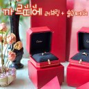 마이러브투어