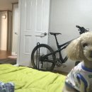 정원단지 화장실 이미지