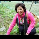 자인농원 - 포천시 | 자인농원