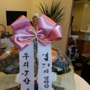 달푸르츠 이미지