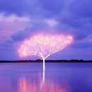 빛으로 그린 세상 이미지