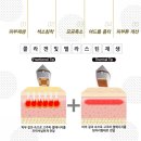 텐하이 이미지