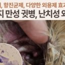 애니컴 메디컬센터 이미지