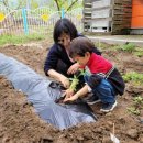 서촌초교병설 이미지