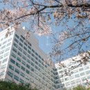 세종대학교 문화예술콘텐츠대학원 이미지