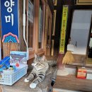 죽정습지 | 고성 1박 2일 여행 후기