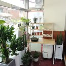 일레븐마트(DC백화점) 이미지