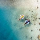 마야메드 이미지