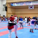 성주별고을체육관 이미지