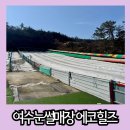 서부로 691 | 여수 눈썰매장 아이와 가족이 함께 즐길 수 있는 에코힐즈