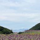 코끼리마을 이미지
