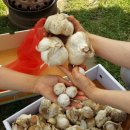 심우농장 이미지